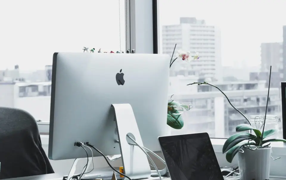 laptop office desktop fllower