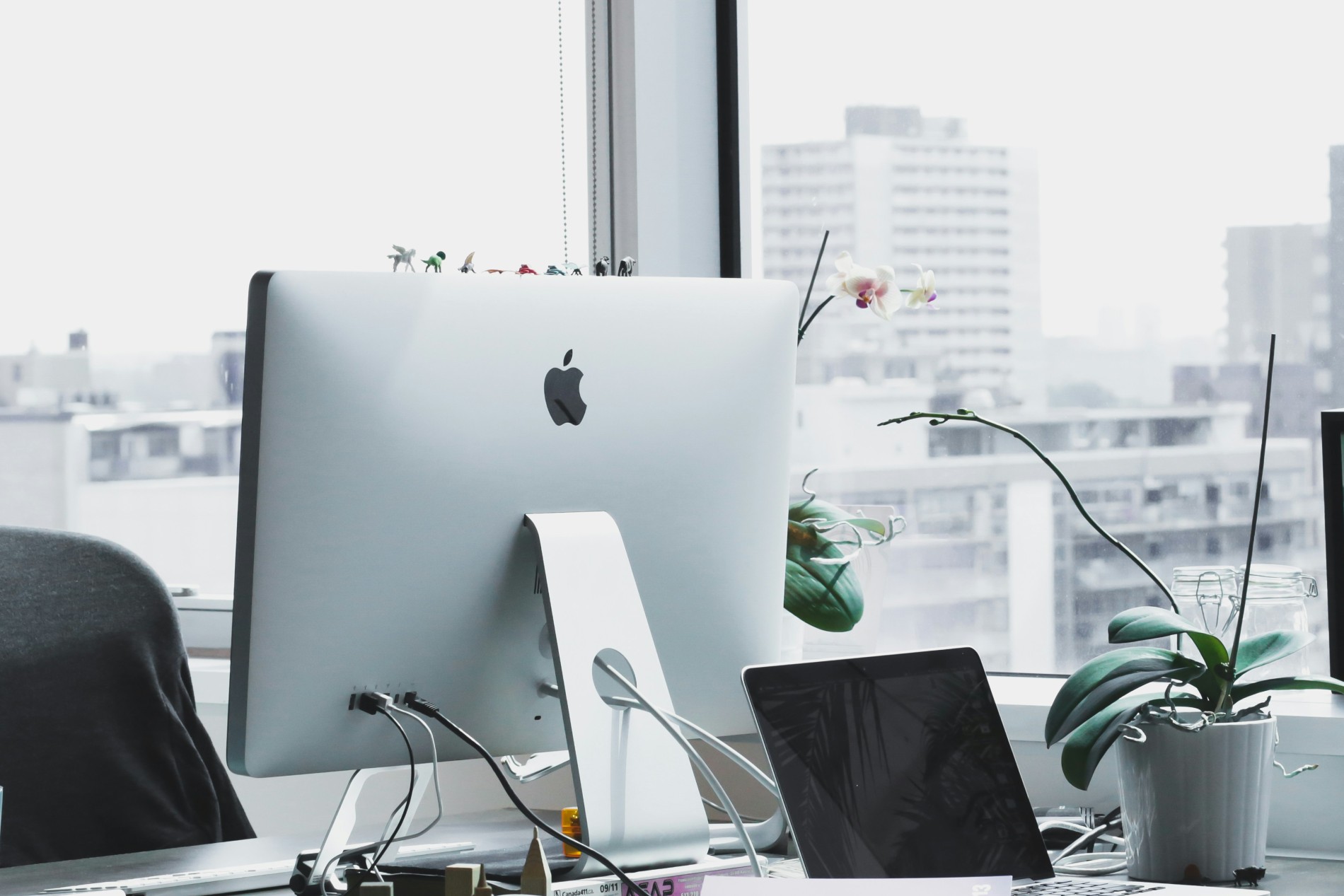 laptop office desktop fllower